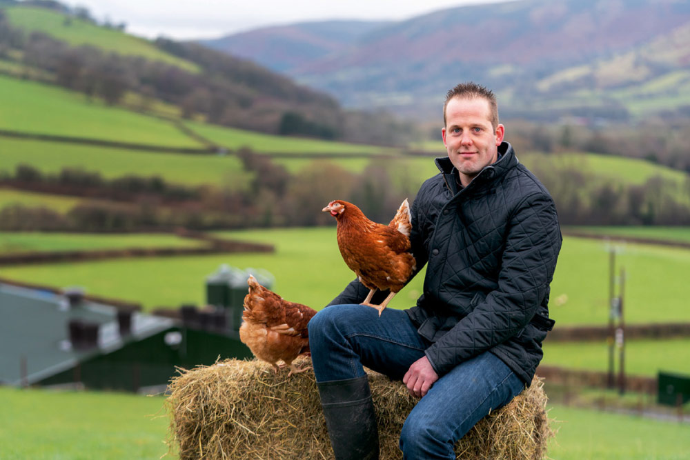 farmer and chicken