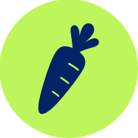 carrot icon